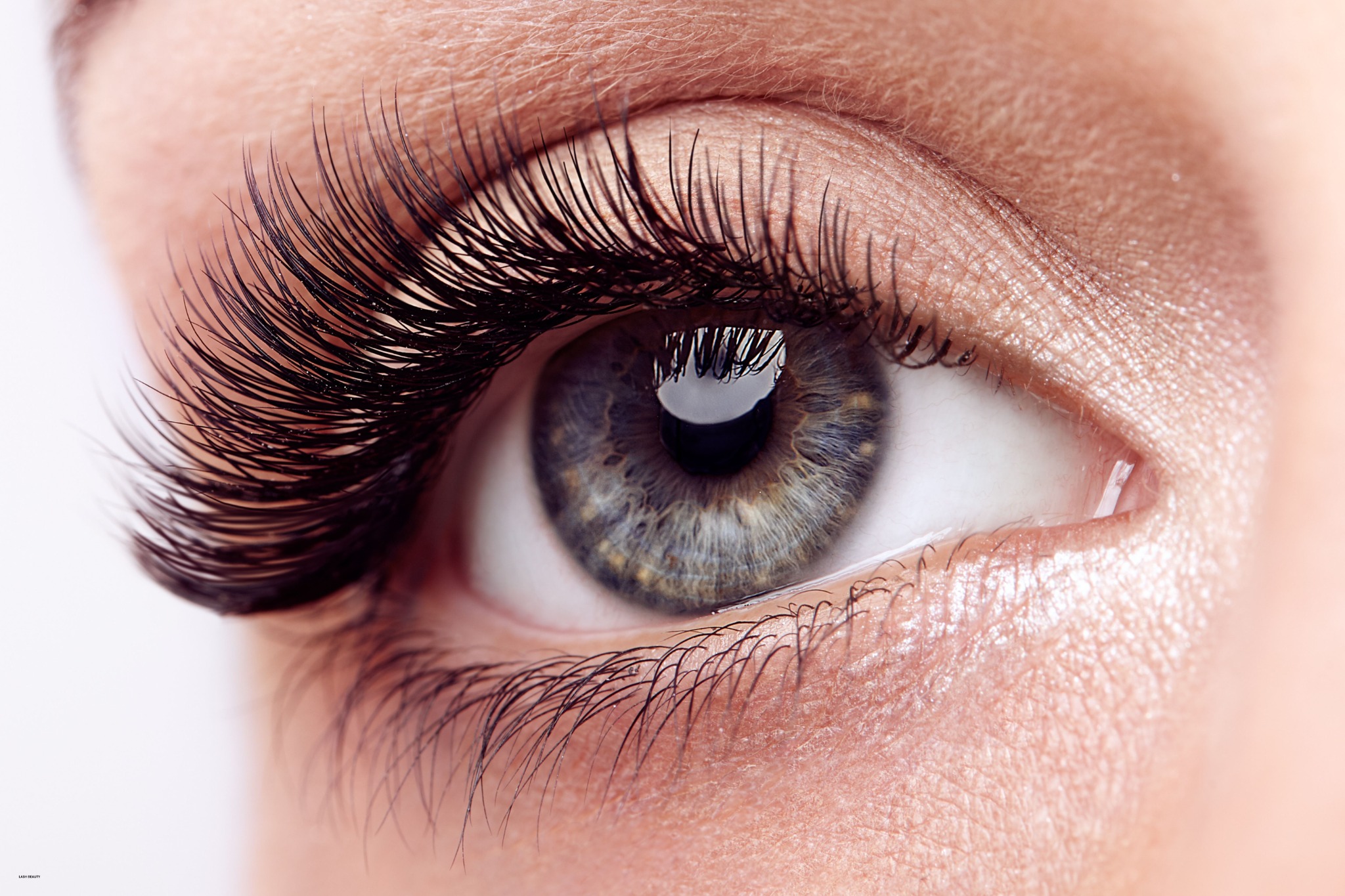 Lash beauty service illustration
